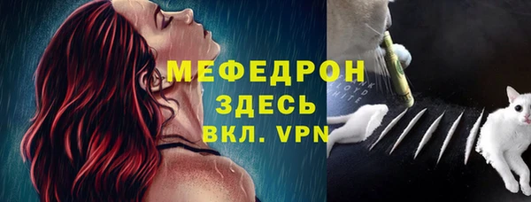 PSILOCYBIN Магас