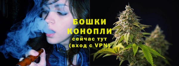 Альфа ПВП Майский