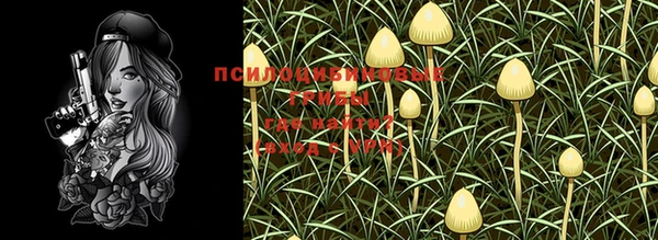 PSILOCYBIN Магас