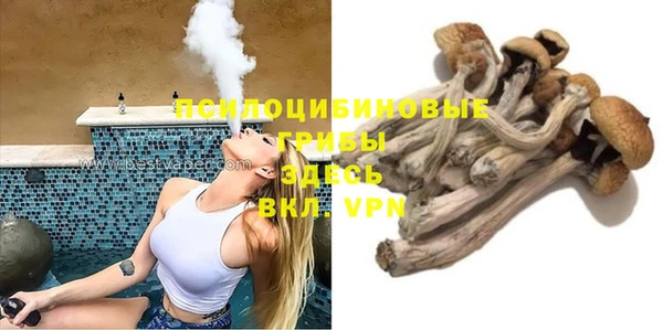 Альфа ПВП Майский