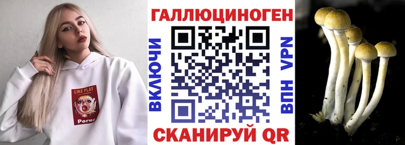 ОМГ ОМГ ТОР  Циолковский  Псилоцибиновые грибы Cubensis  где купить наркоту 