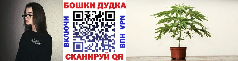 Бошки марихуана White Widow Циолковский